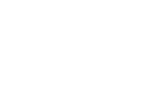 Anthem Logo