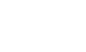 VSP Logo
